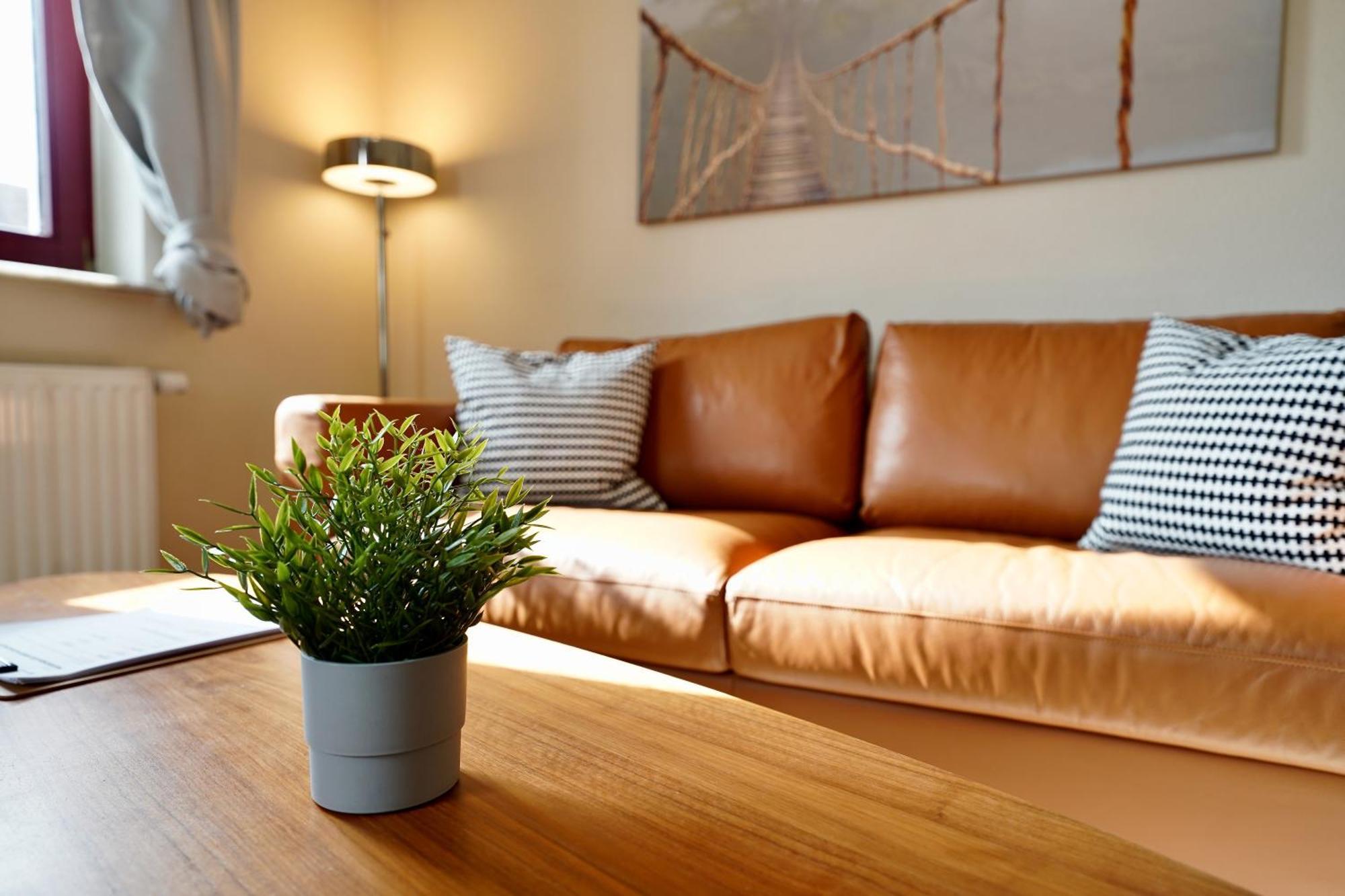Edler Wohnraum Noble Stadtoase Mit Boxspringbett, Kaffeevollautomat & Parkplatz 츠비카우 외부 사진